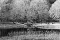 Black and White image of the Picnic area at the Smith Mountain Hydroelectric Dam - 2 Royalty Free Stock Photo